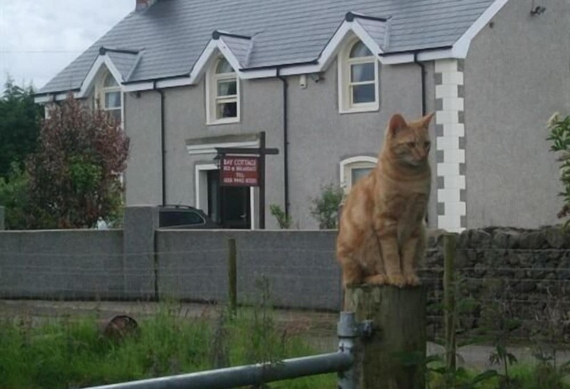 호텔 Bay Cottage Bed & Breakfast