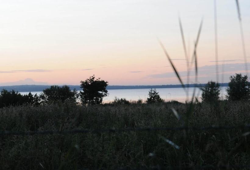 호텔 Bay Cottage Bed & Breakfast