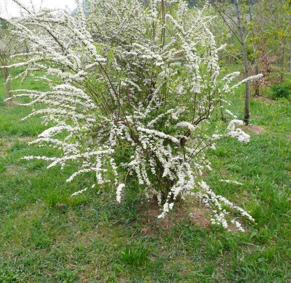 בית מלון כפרי B&b Leonardi