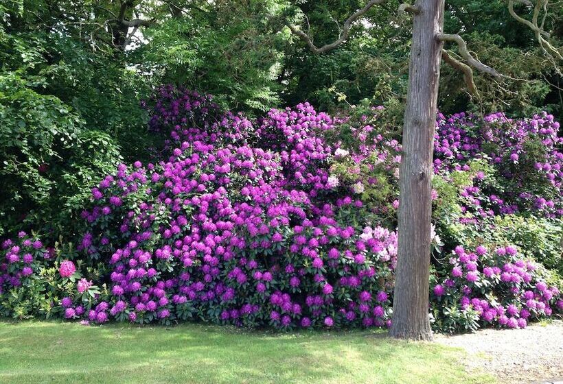 בית מלון כפרי Best Western Ipswich