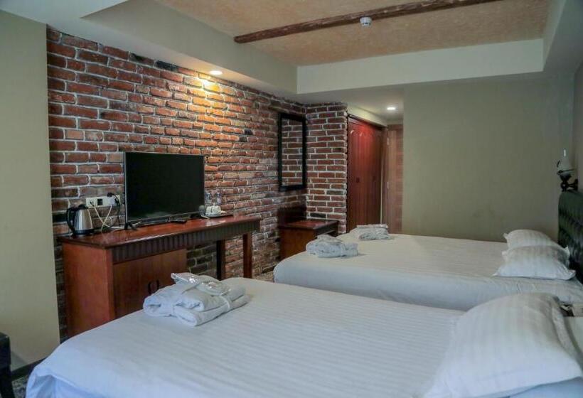 هتل Borjomi Palace Health & Spa Center