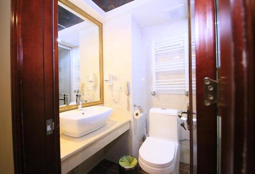 هتل Borjomi Palace Health & Spa Center