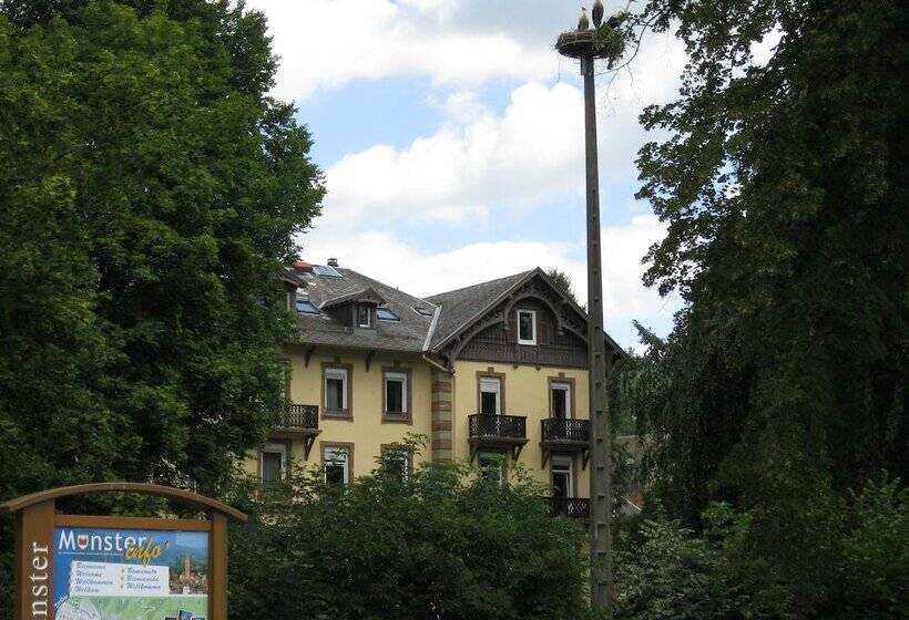 Brit Hotel Grand Hotel Munster