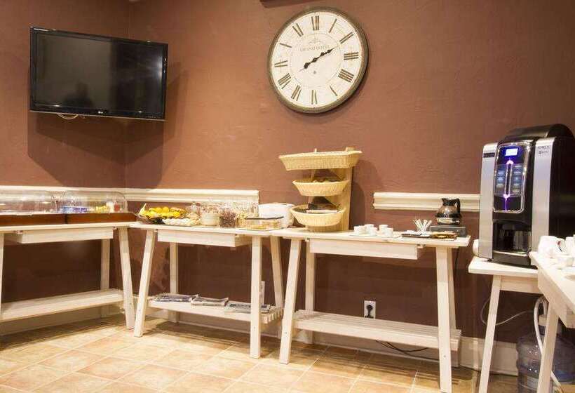 Brit Hotel Roanne   Le Grand Hôtel