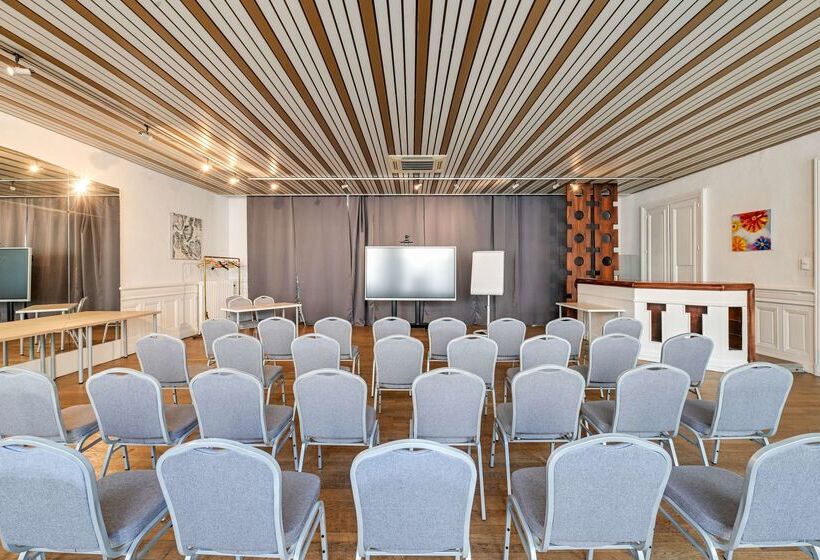 Brit Hotel Roanne   Le Grand Hôtel