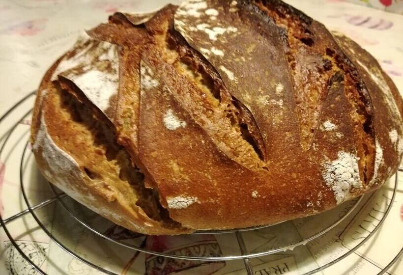 酒店 Chambres D'hôtes La Maison De Juliette