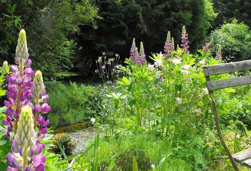 酒店 Chambres D'hôtes La Maison De Juliette