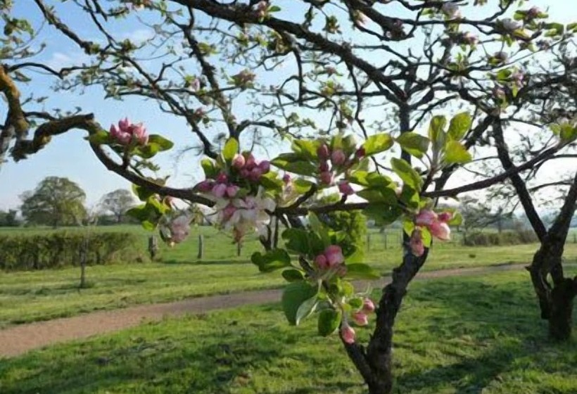 ホテル Domaine De Savigny