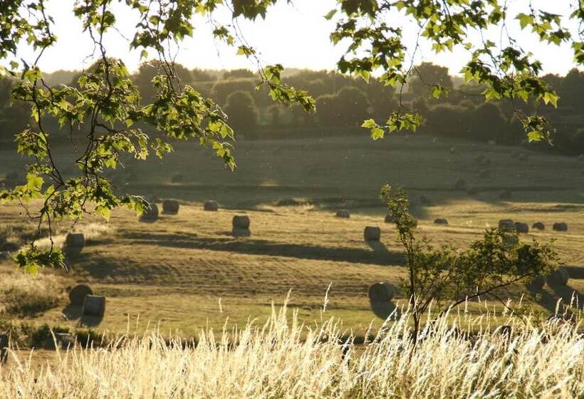 ホテル Domaine De Savigny