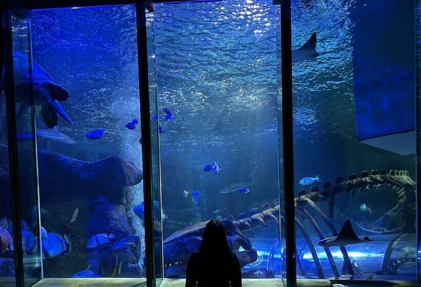 호텔 Heacham Manor