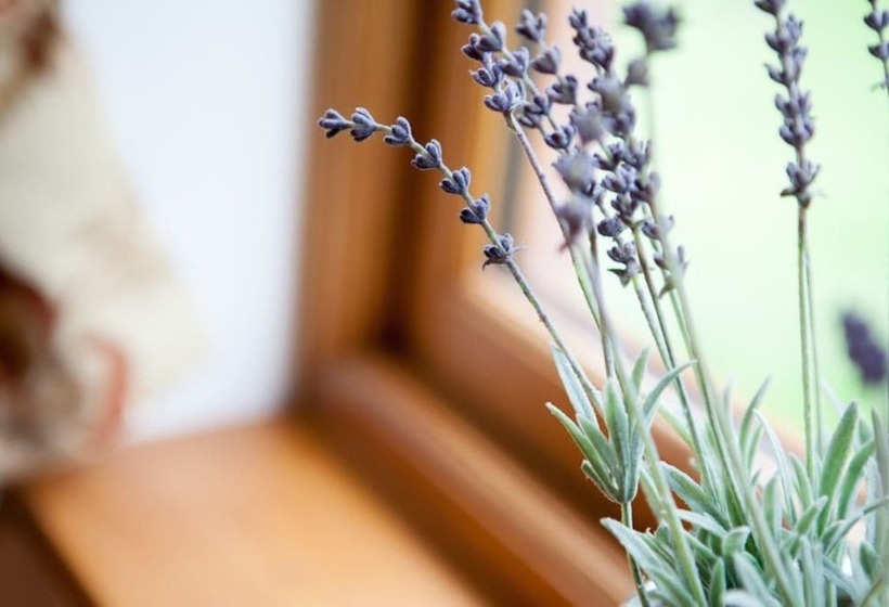 Отель Heads Nook Hall Cottage