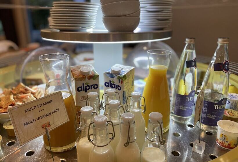 酒店 Hôtel Côté Sud Léman