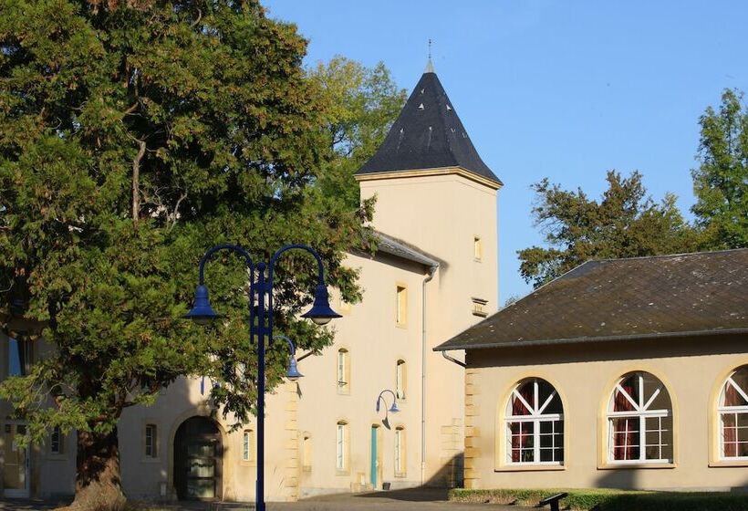 Отель Hôtel Domaine De Volkrange