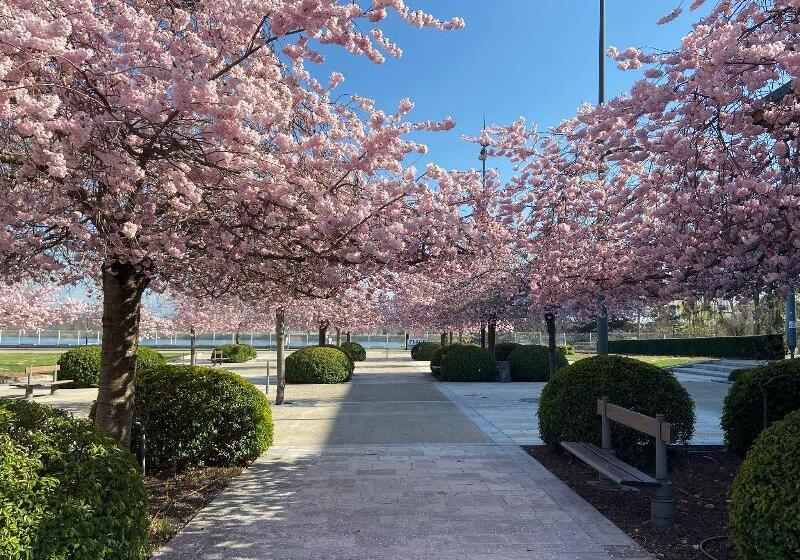 호텔 Hôtel Le Divona