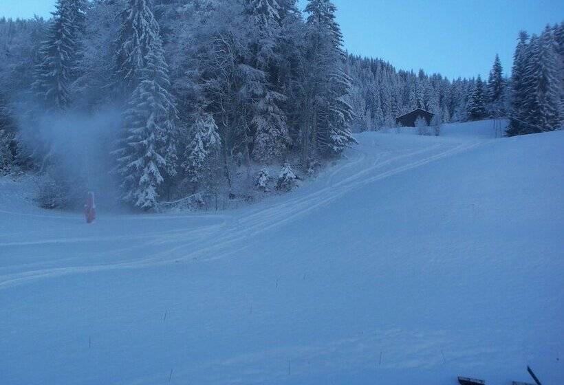 בית מלון כפרי Hôtel Les Bernards