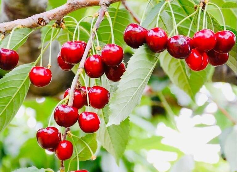 호텔 Hôtel Restaurant La Désirade