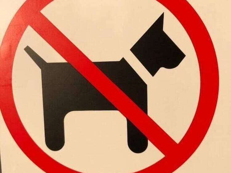 فندق Logis L Hôtel D Arc