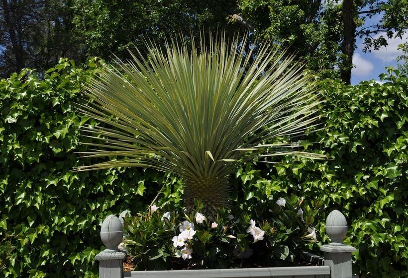 فندق La Bégude Du Pascouren