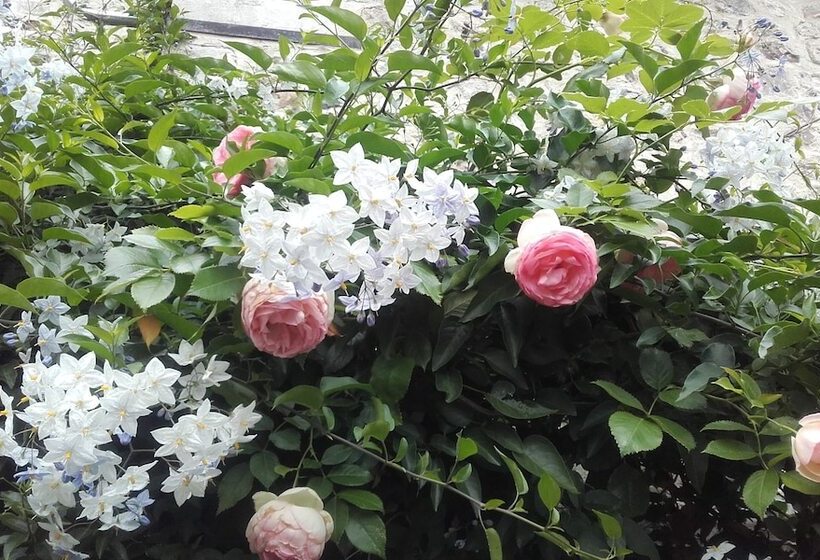 Отель La Cour Sainte Catherine Demeure De Charme