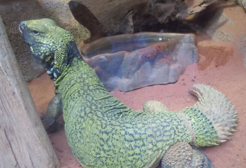 فندق La Croix Blanche