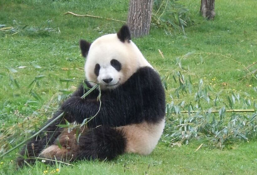 فندق La Croix Blanche