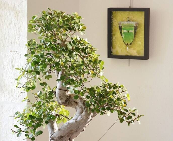 Отель La Porte Rouge  The Red Door Inn