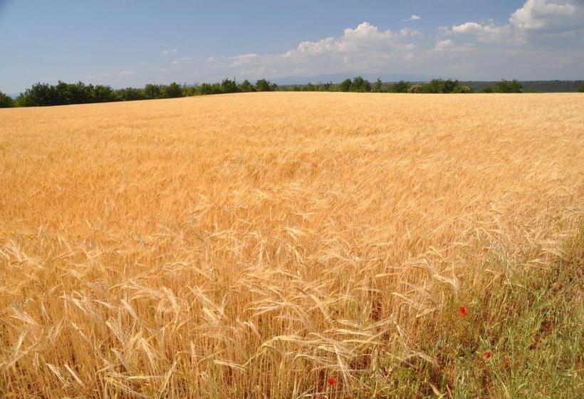 호텔 Le Clos Geraldy   Chambres D Hôtes De Charme, Piscine Et Spa