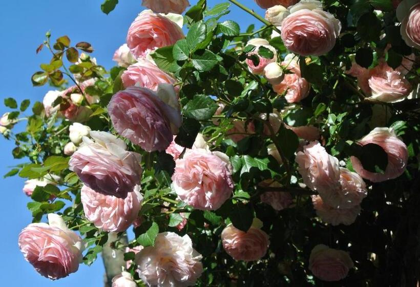 בית מלון כפרי Le Relais Des Chartreuses