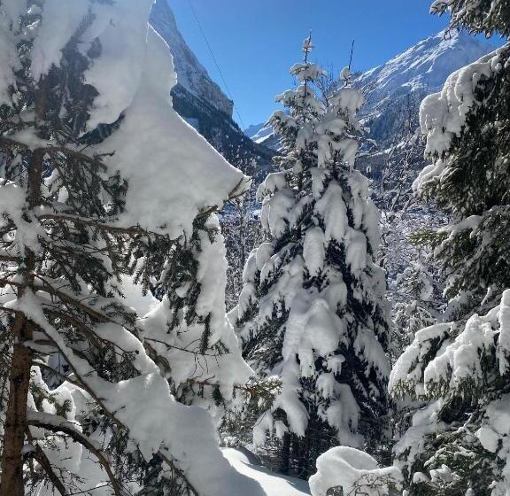 فندق L'edelweiss