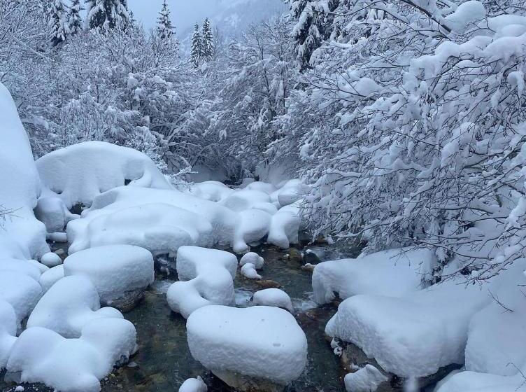 فندق L'edelweiss