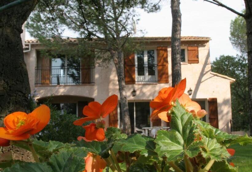 ホテル Les Chambres D Hotes Au Bois Fleuri