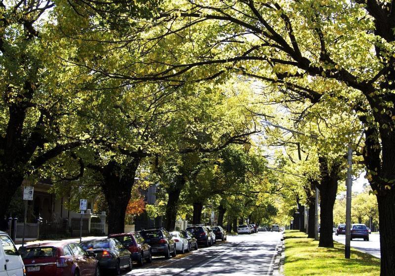 בית מלון כפרי Naughtons