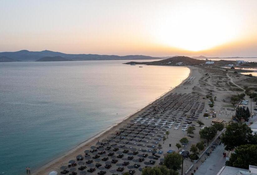 Отель Naxos Leisure