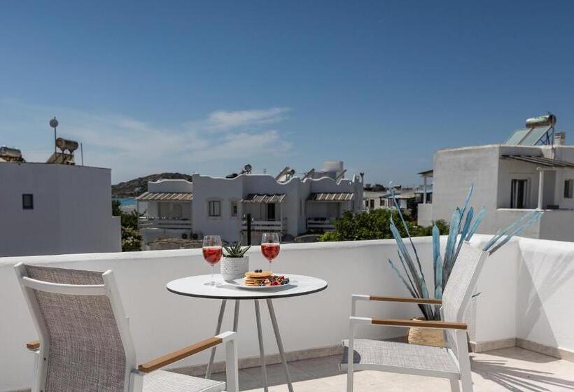 Отель Naxos Leisure