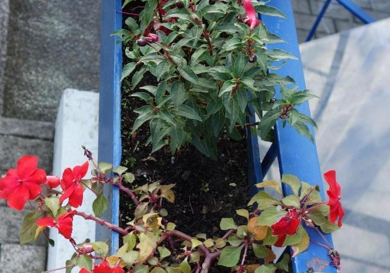 Hotel Nuernbergapart