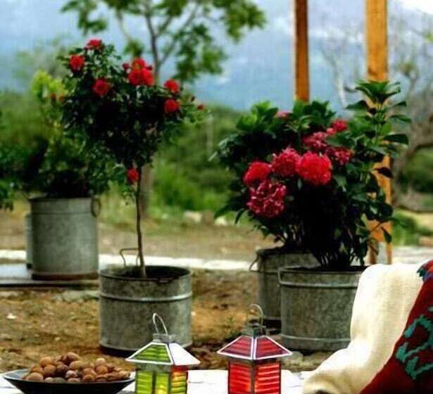 בית מלון כפרי Papanikola