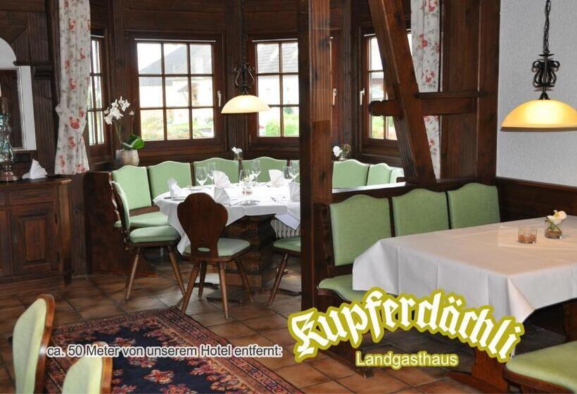 호텔 Pension Jasmin