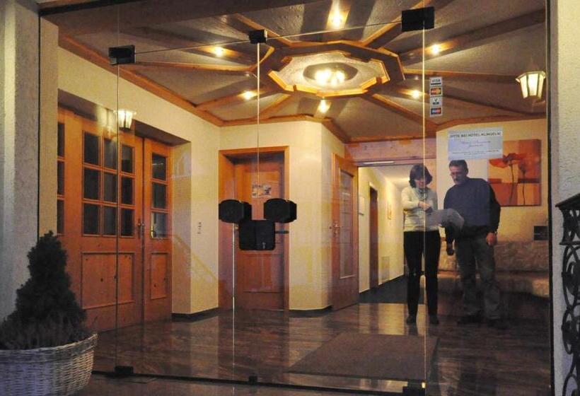 호텔 Pension Jasmin