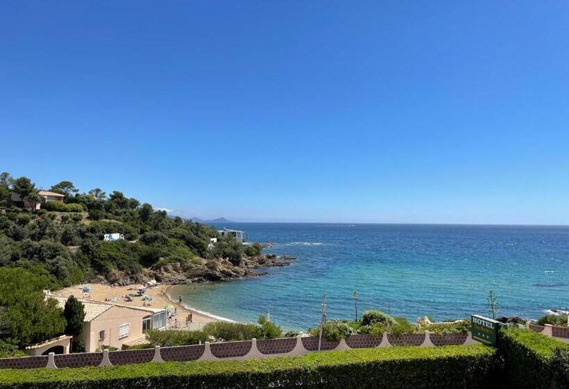 Cap Riviera Hotel & Restaurant Saint Aygulf