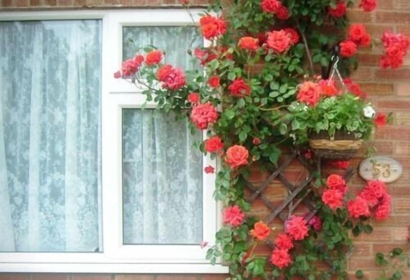 فندق Rosa S Bed And Breakfast