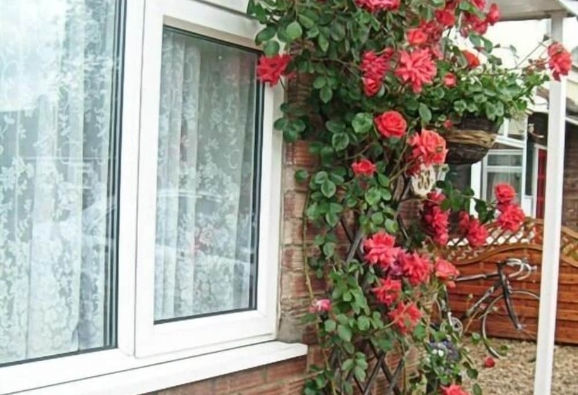 فندق Rosa S Bed And Breakfast