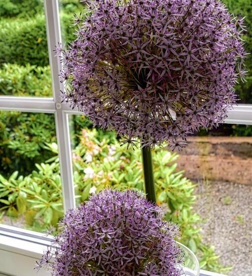 فندق Rosenhof Braunlage