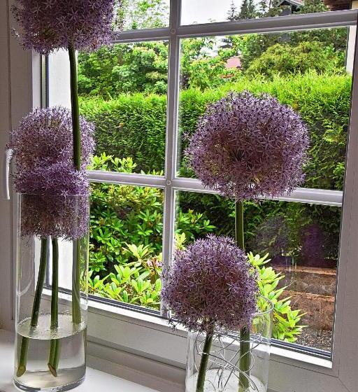 فندق Rosenhof Braunlage