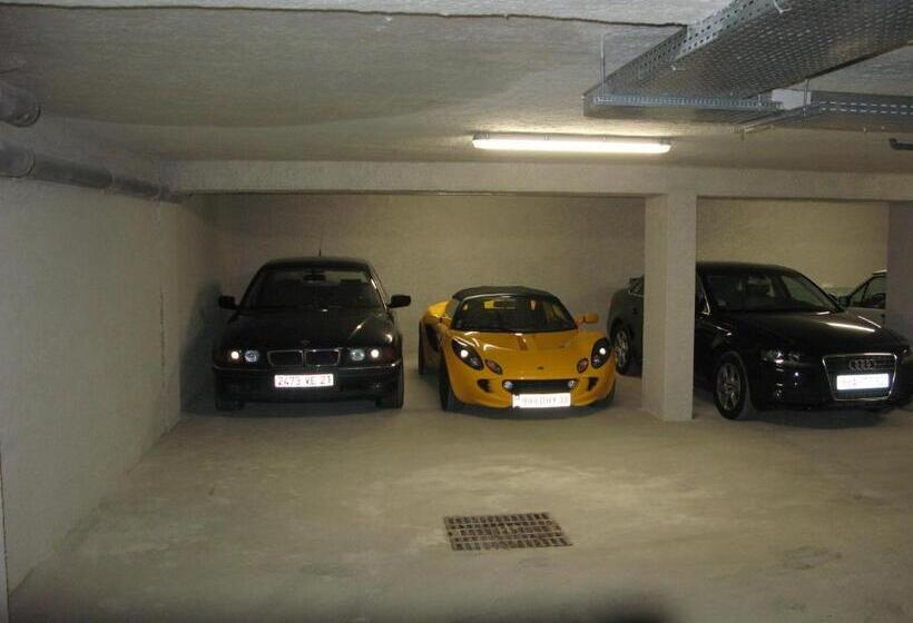 酒店 Résidence Le Patricia