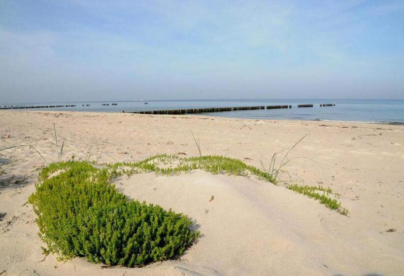 호텔 Strandhafer Apart