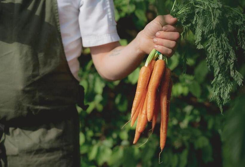 ホテル The Clive Arms