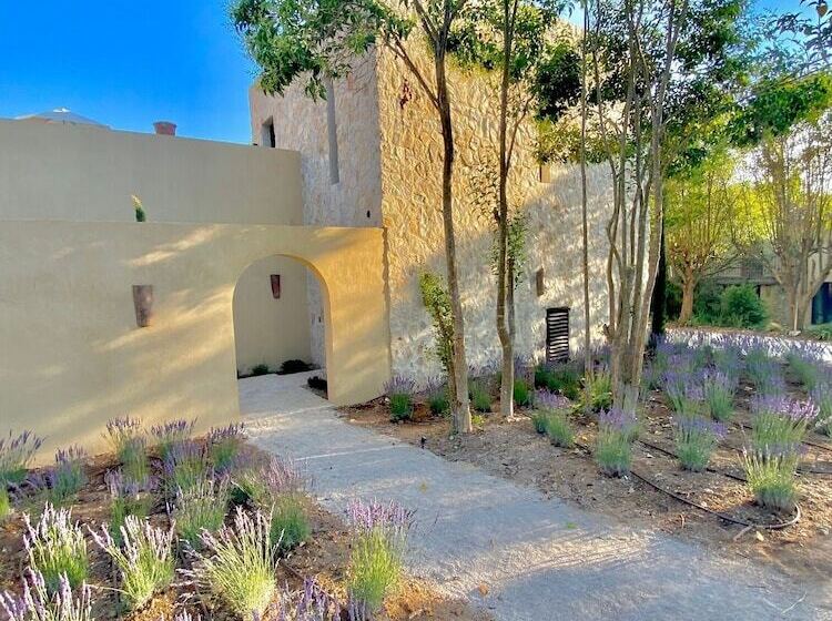 Отель Toile Blanche