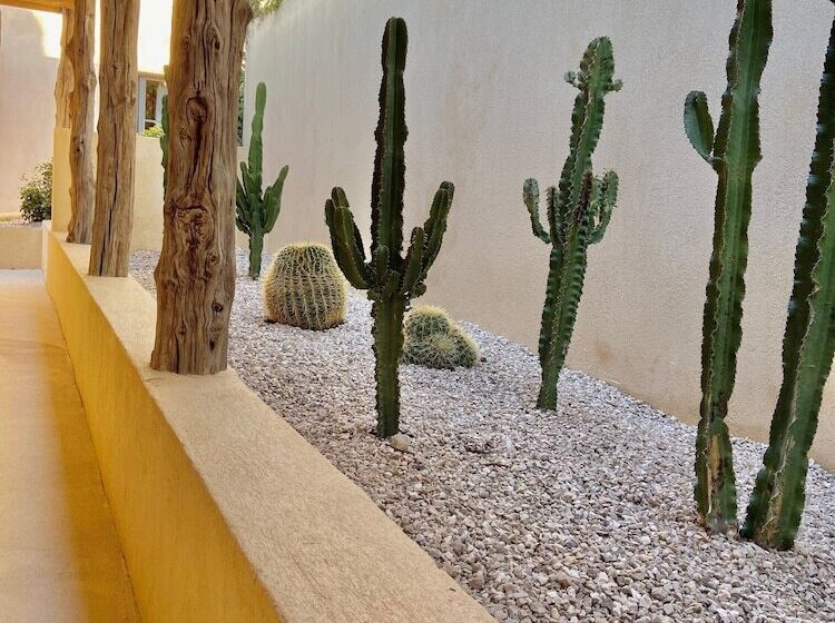 Отель Toile Blanche