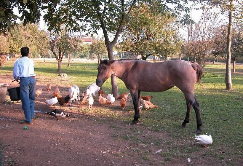 호텔 Agri Village Pavia