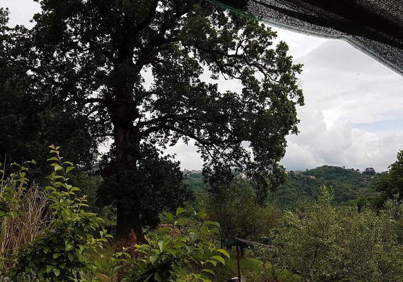 ホテル Agriturismo Cisogna